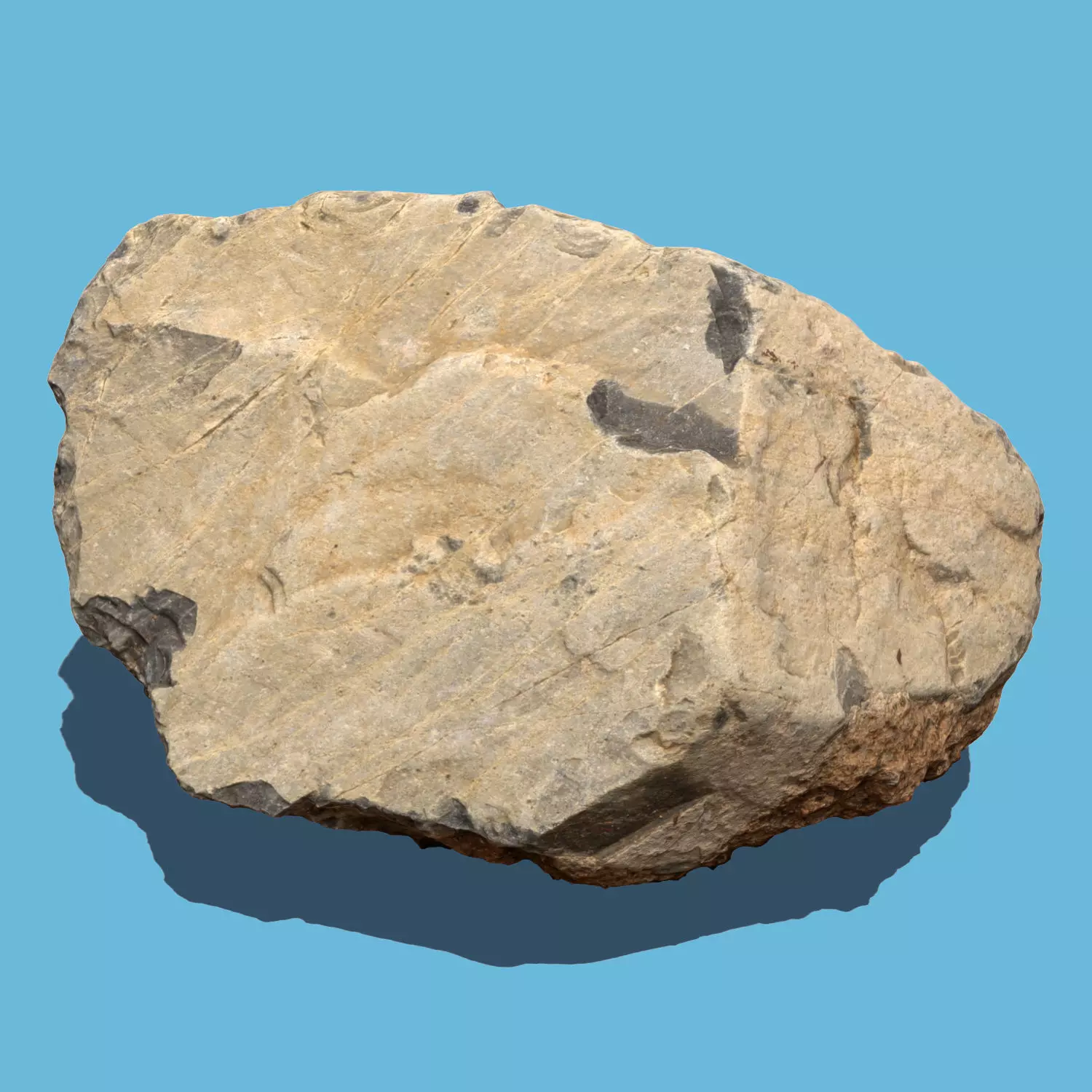 Emma Stone-3D scan 3D model_0