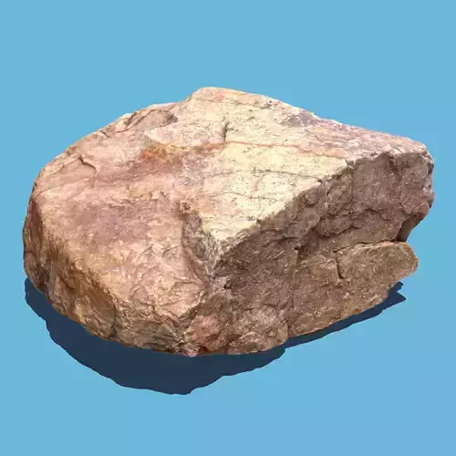 Rock Lobster-3D scan