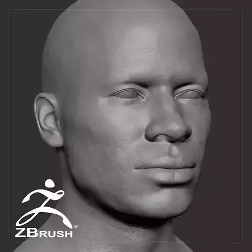 Average Black Male Head Basemesh 3D model