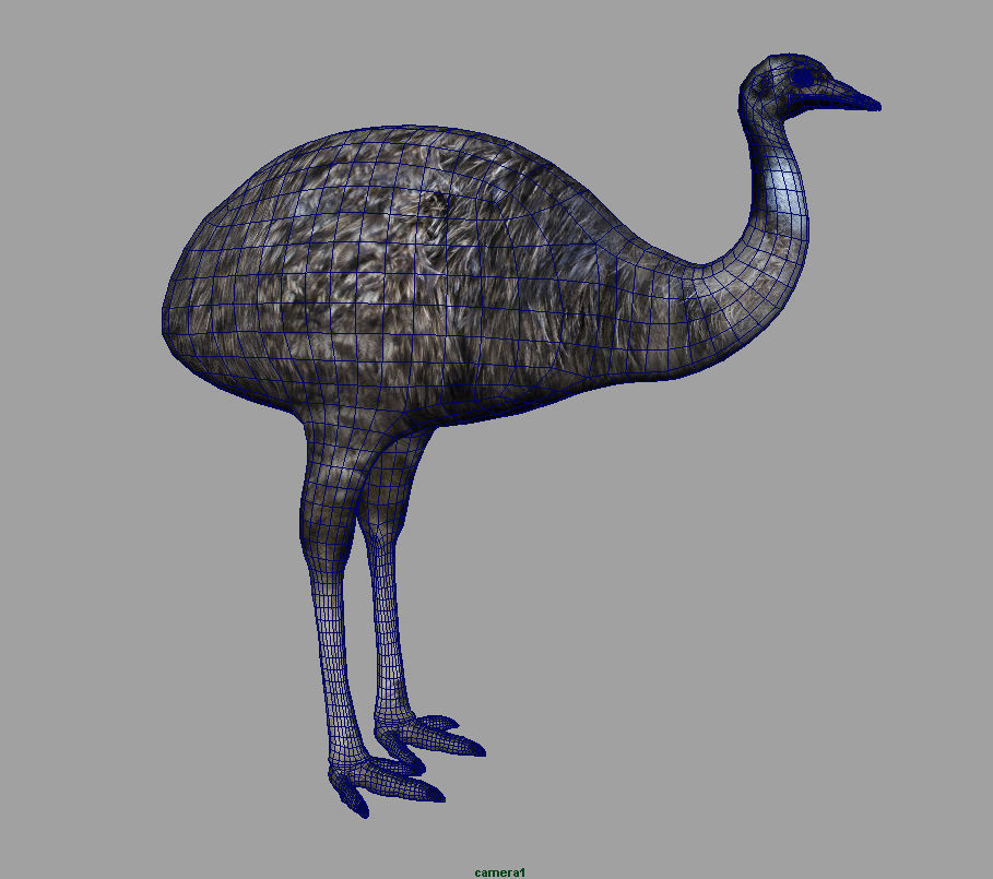 Emu with realistic fur Low-poly 3D model_7