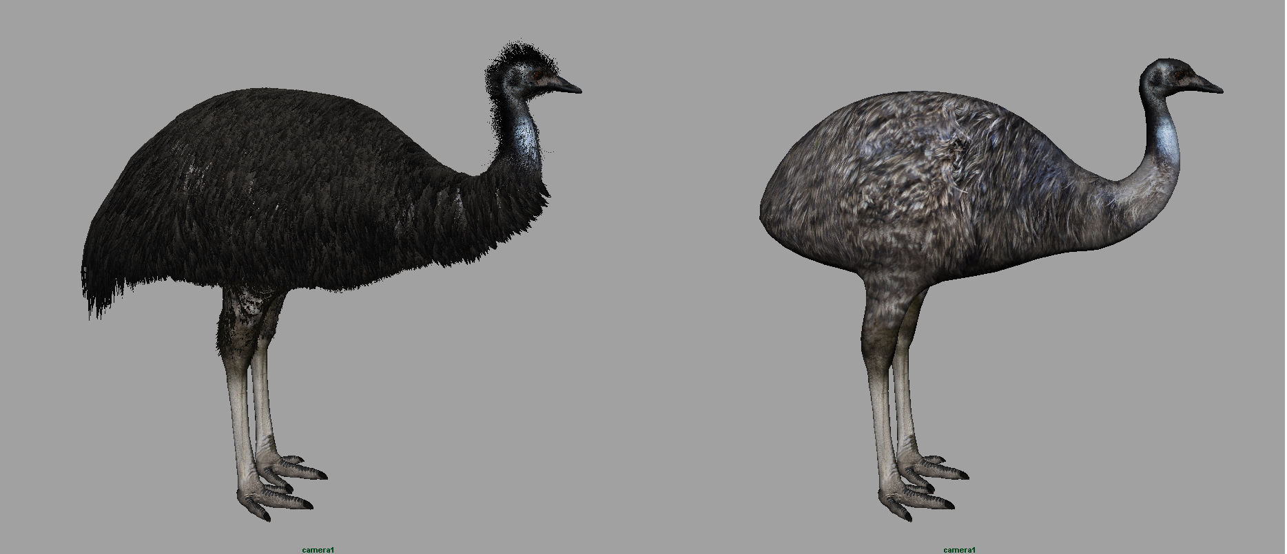 Emu with realistic fur Low-poly 3D model_5