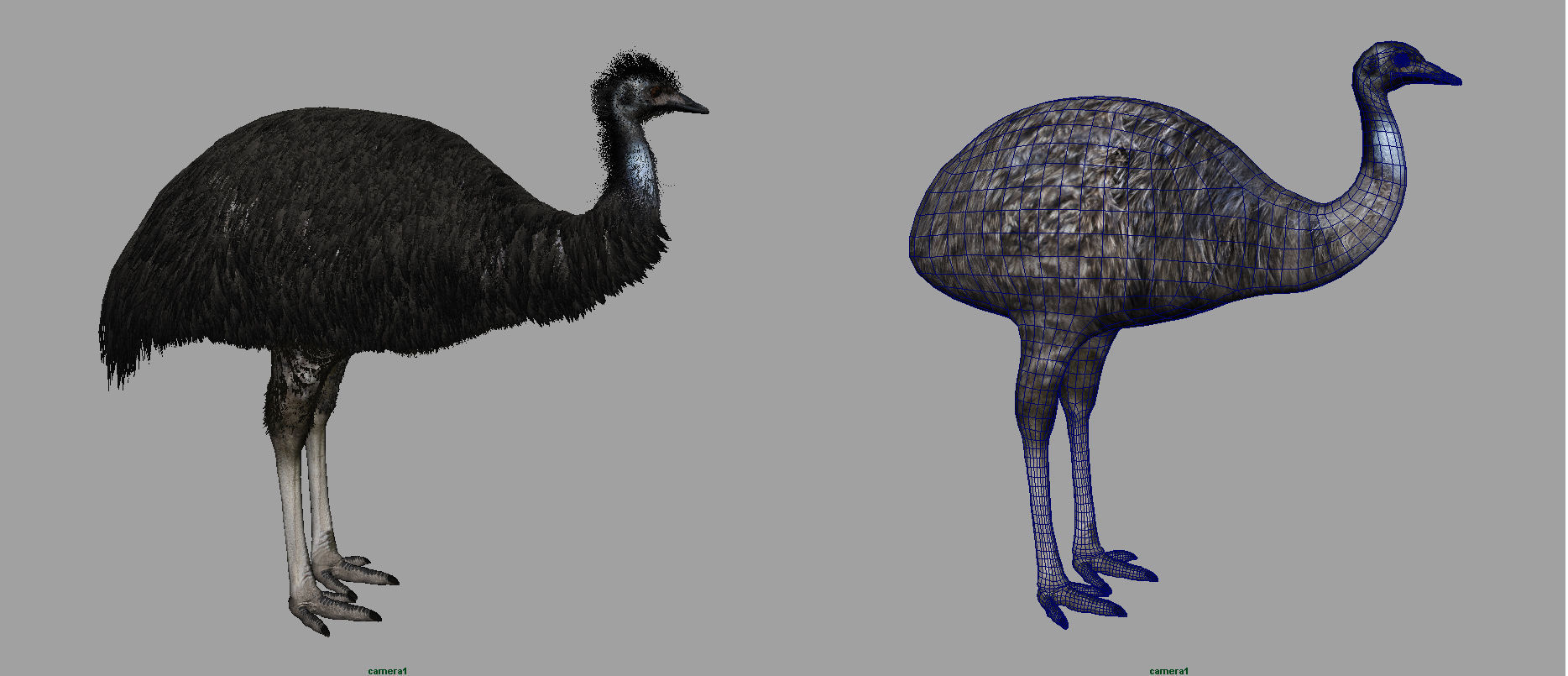 Emu with realistic fur Low-poly 3D model_6