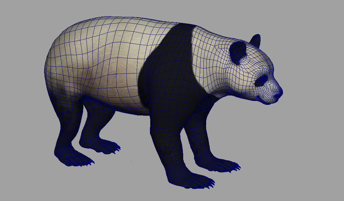 Panda with realistic fur 3D model_7