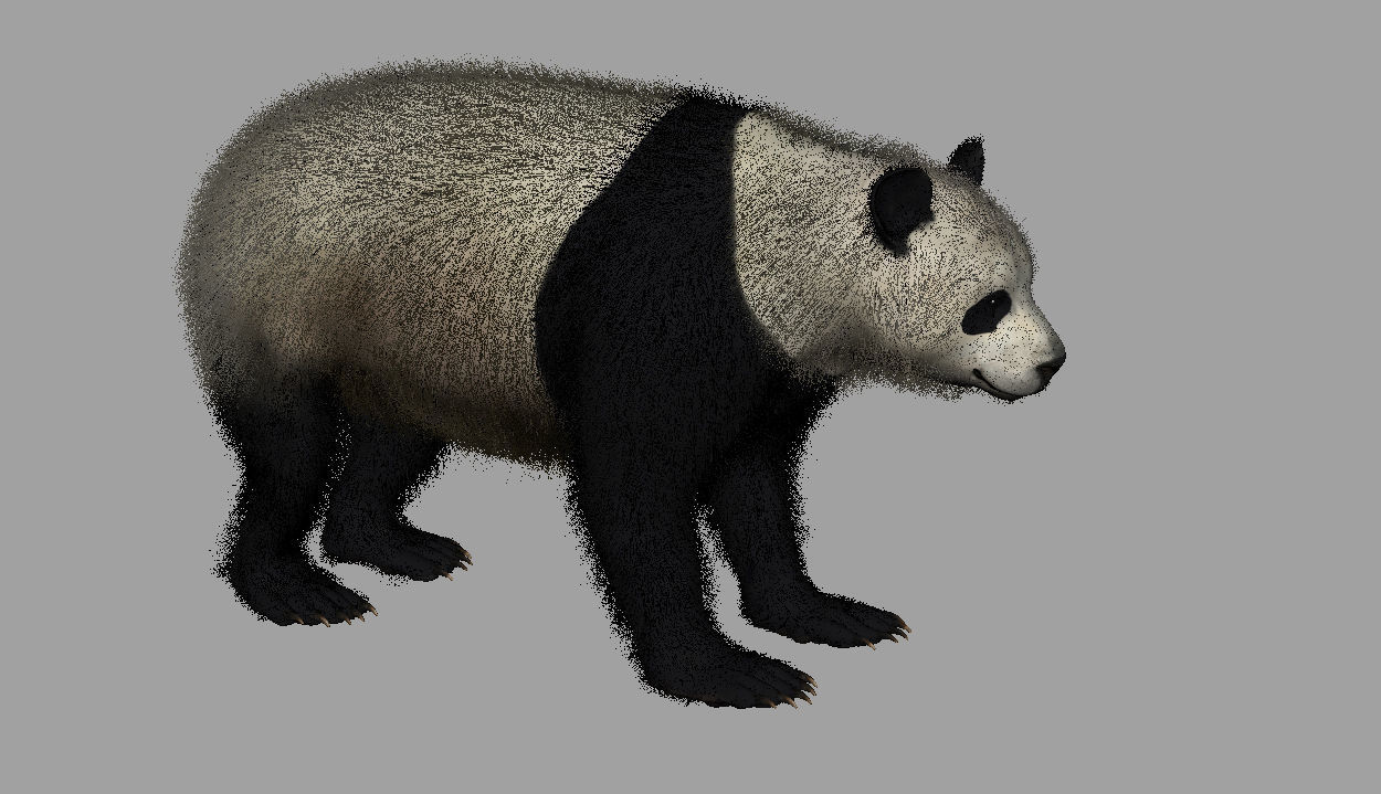 Panda with realistic fur 3D model_6