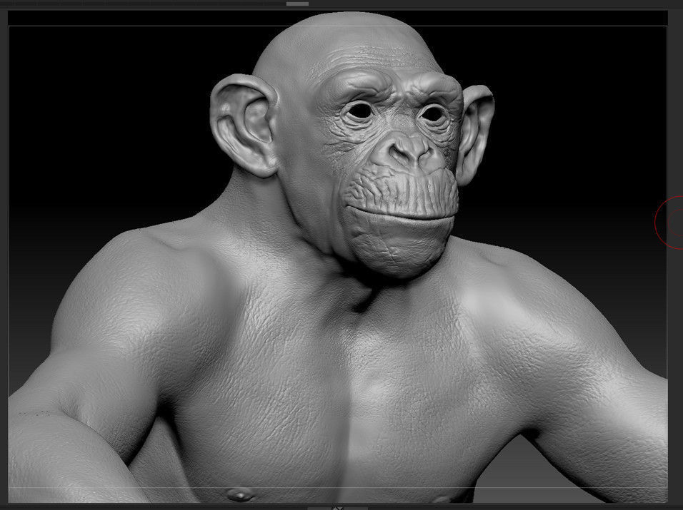 Chimpanzee with realistic fur Low-poly 3D model_12