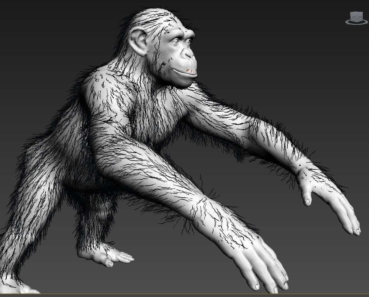 Chimpanzee with realistic fur Low-poly 3D model_9