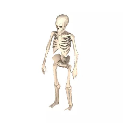 Skeleton Remains Low Poly PBR Game Asset Low-poly 3D model