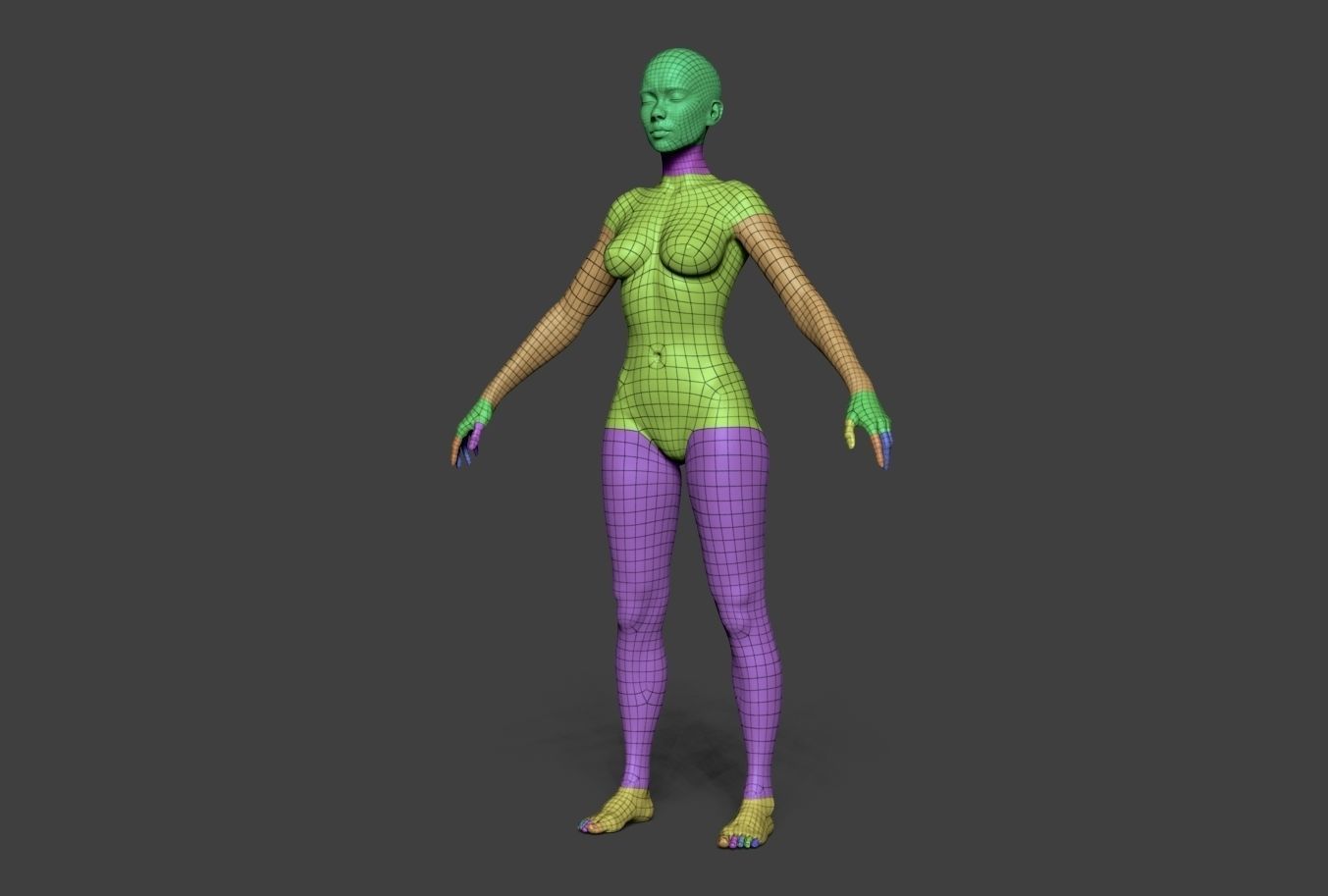 Female Body Basemesh Low-poly 3D model_11