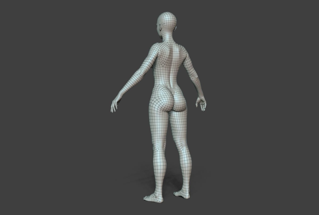 Female Body Basemesh Low-poly 3D model_8