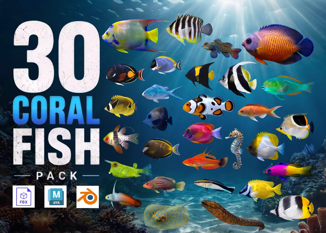 Coral Reef Fish Collection Animated - Game Ready pack 4 Low-poly 3D model