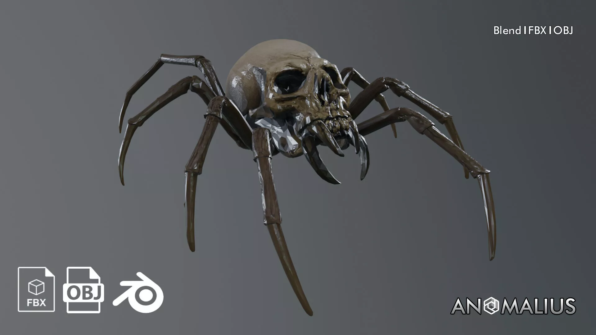 skeleton spider 3D model