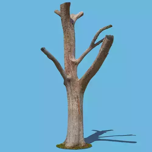 Woody the Woodpecker-3D Scan