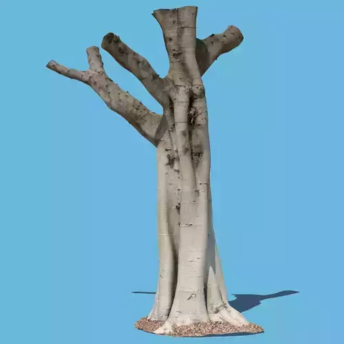 Woody Harrelson-3D Scan