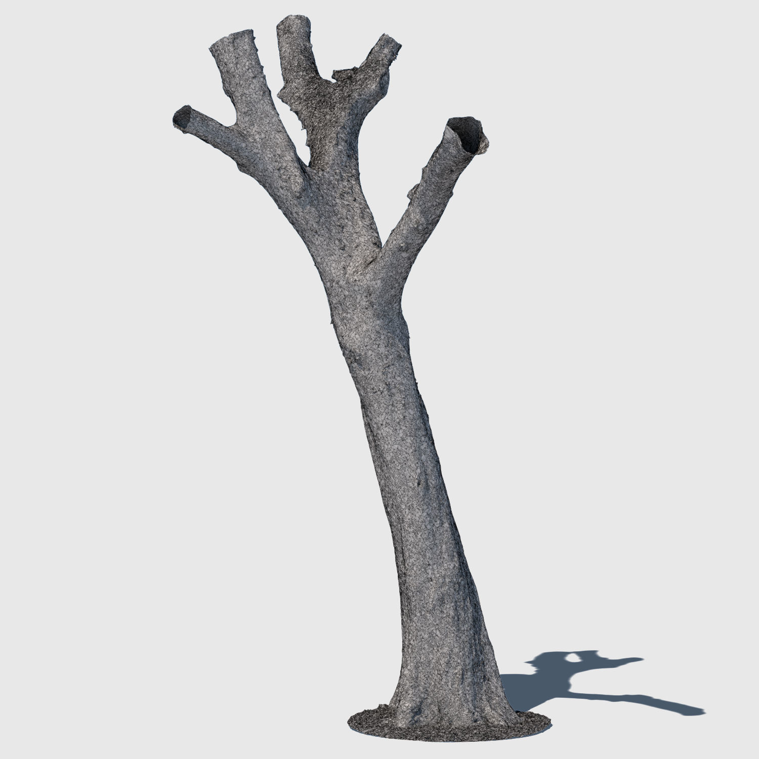 Dion Branch-3D scan 3D model_2