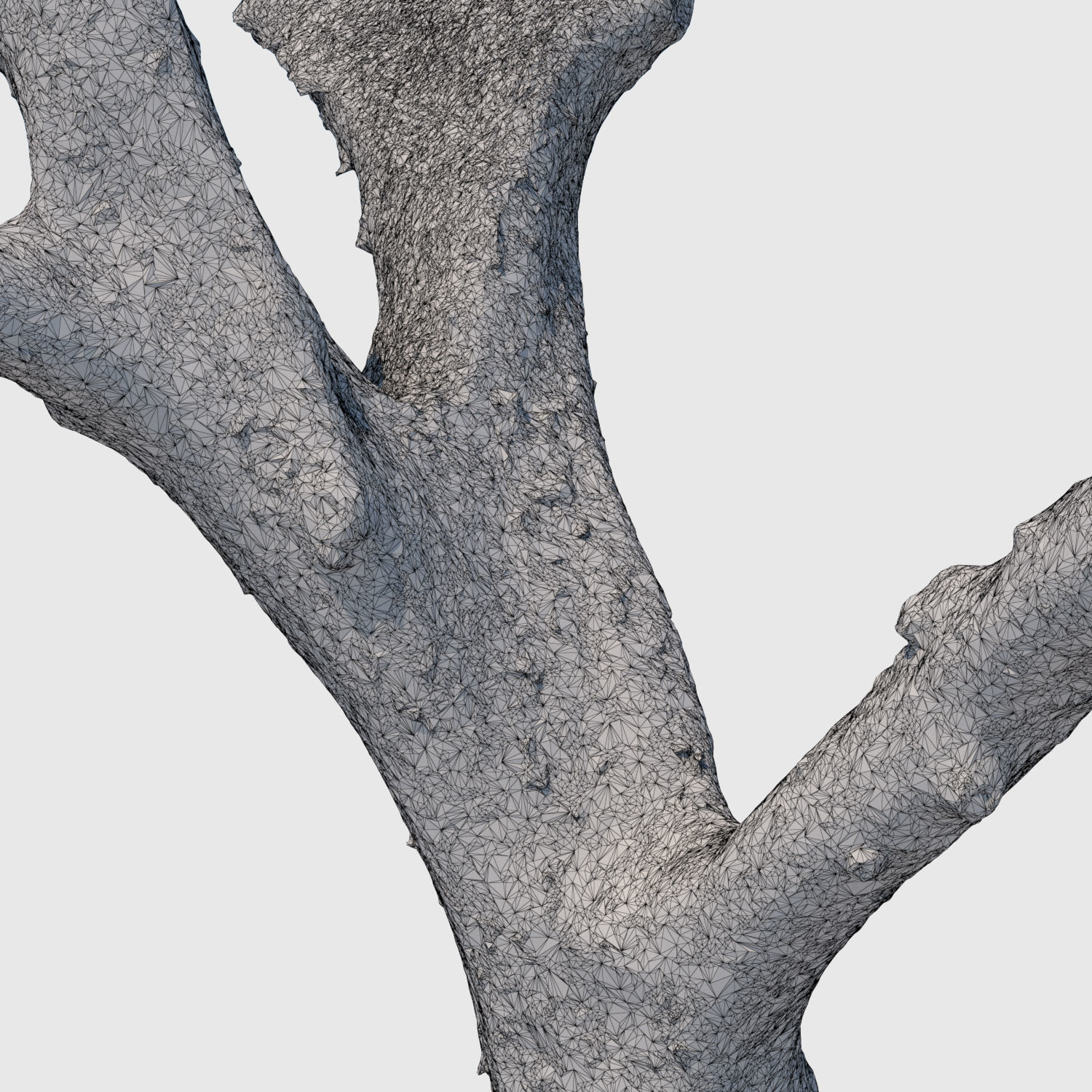 Dion Branch-3D scan 3D model_6