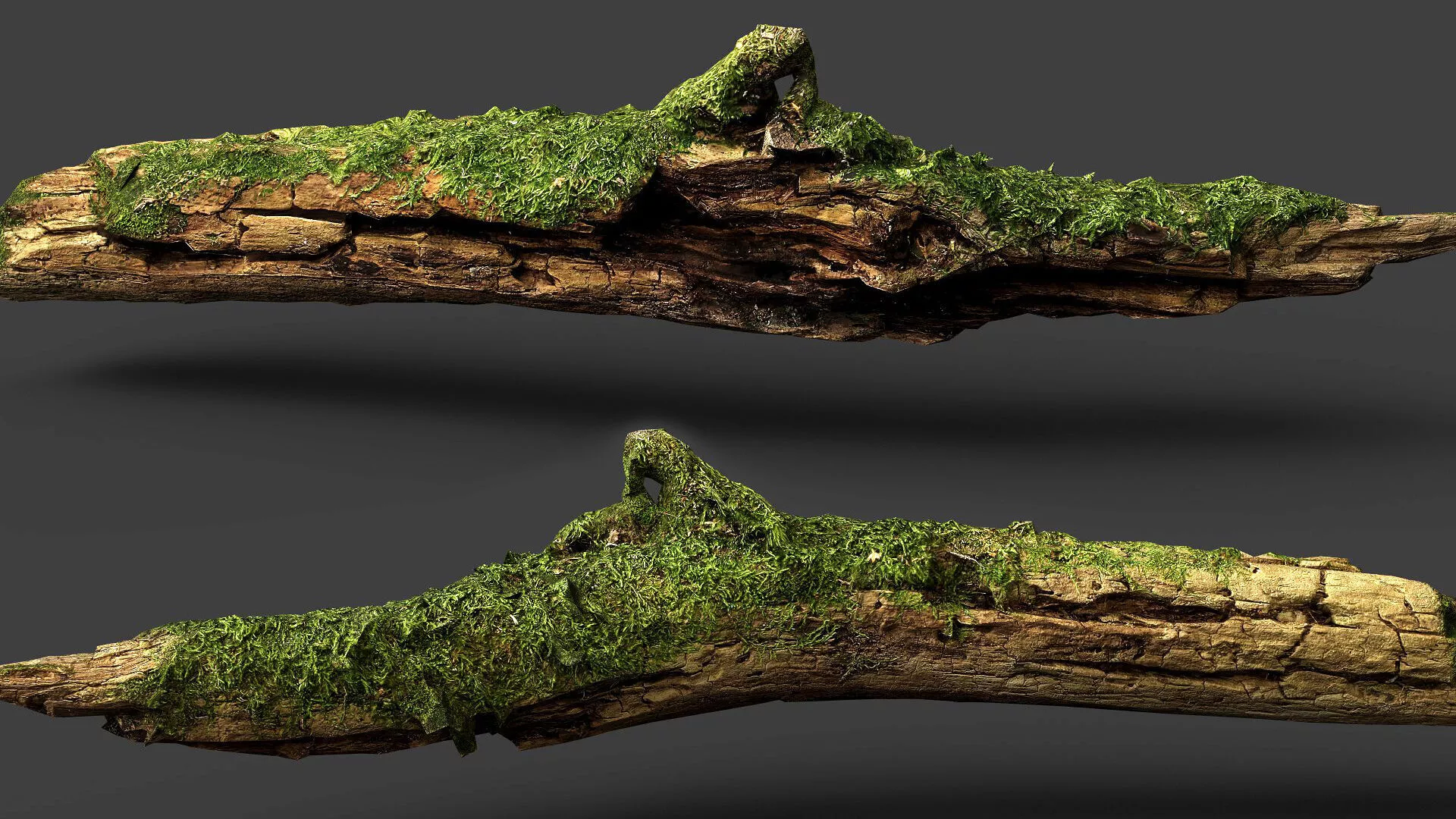 branch broken tree wood debris PBR photogrammetry FREE Free low-poly 3D model