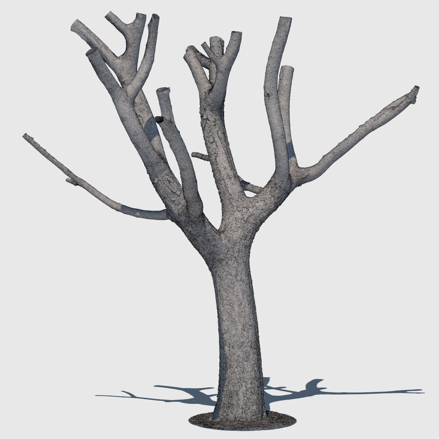 Michelle Branch-3D Scan 3D model_2