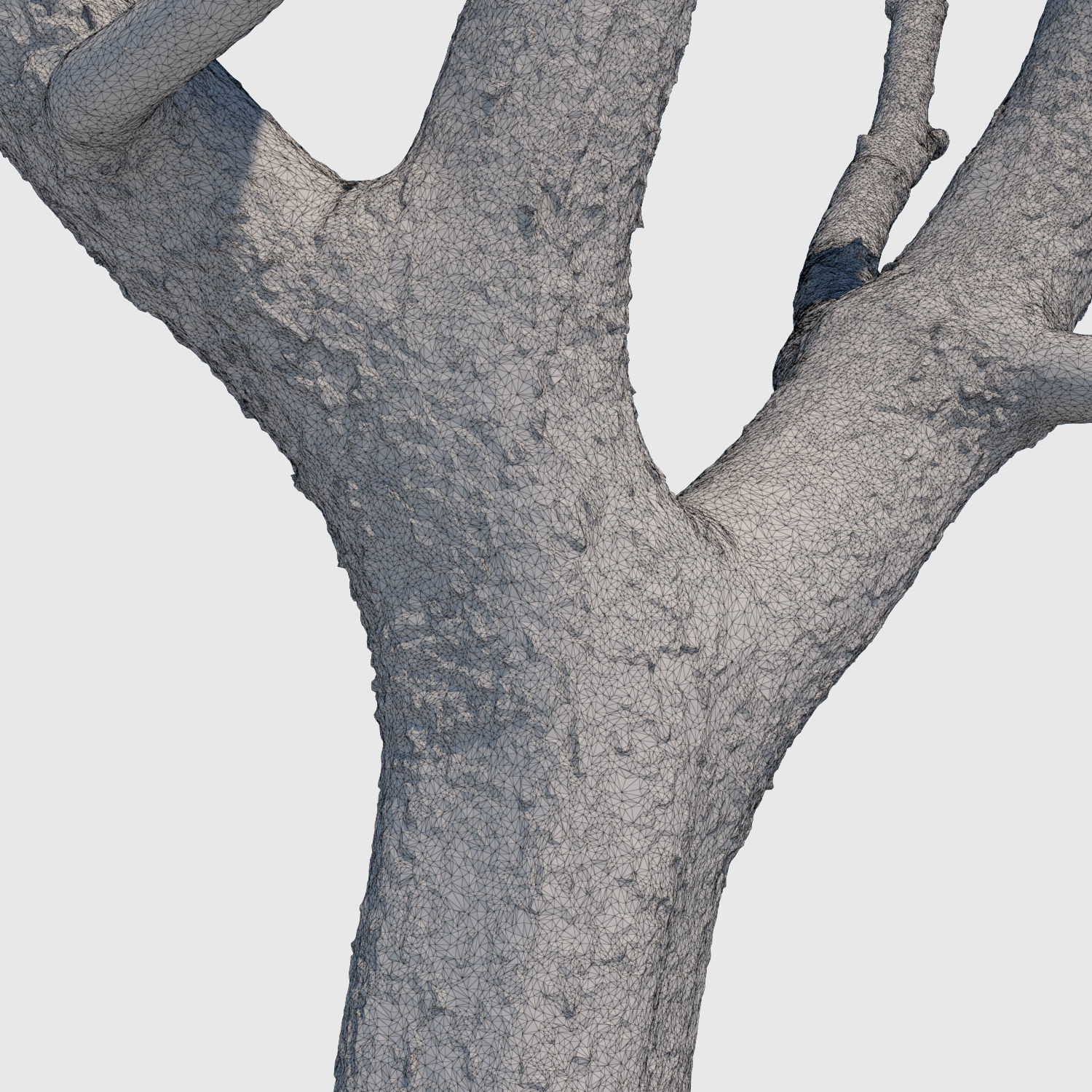 Michelle Branch-3D Scan 3D model_6