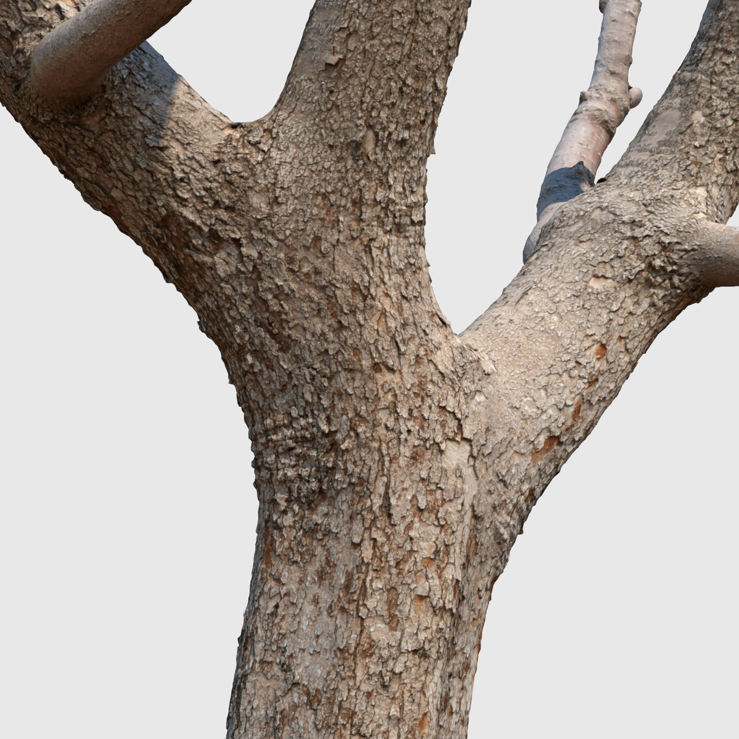 Michelle Branch-3D Scan 3D model_4