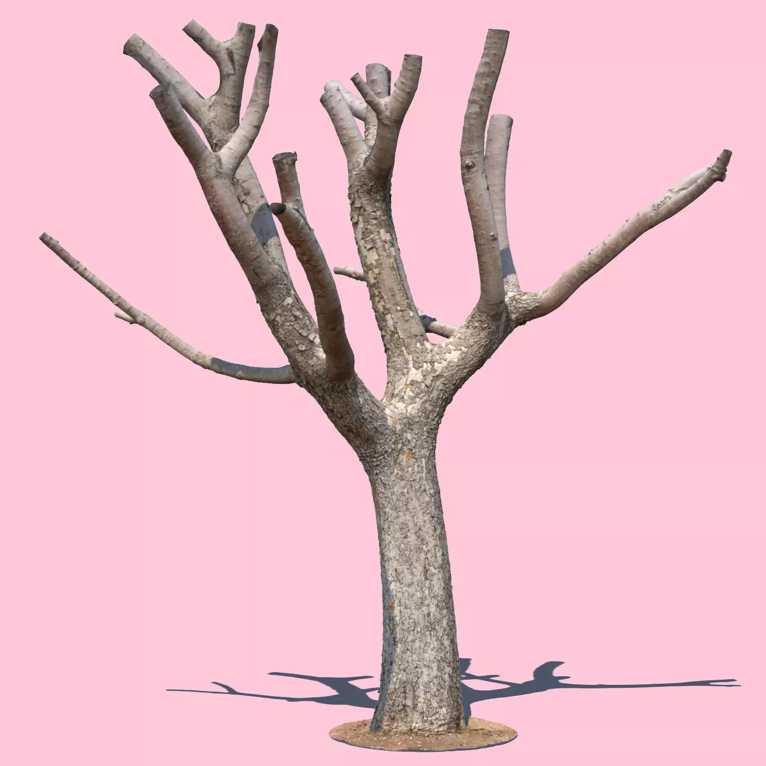 Michelle Branch-3D Scan 3D model_0