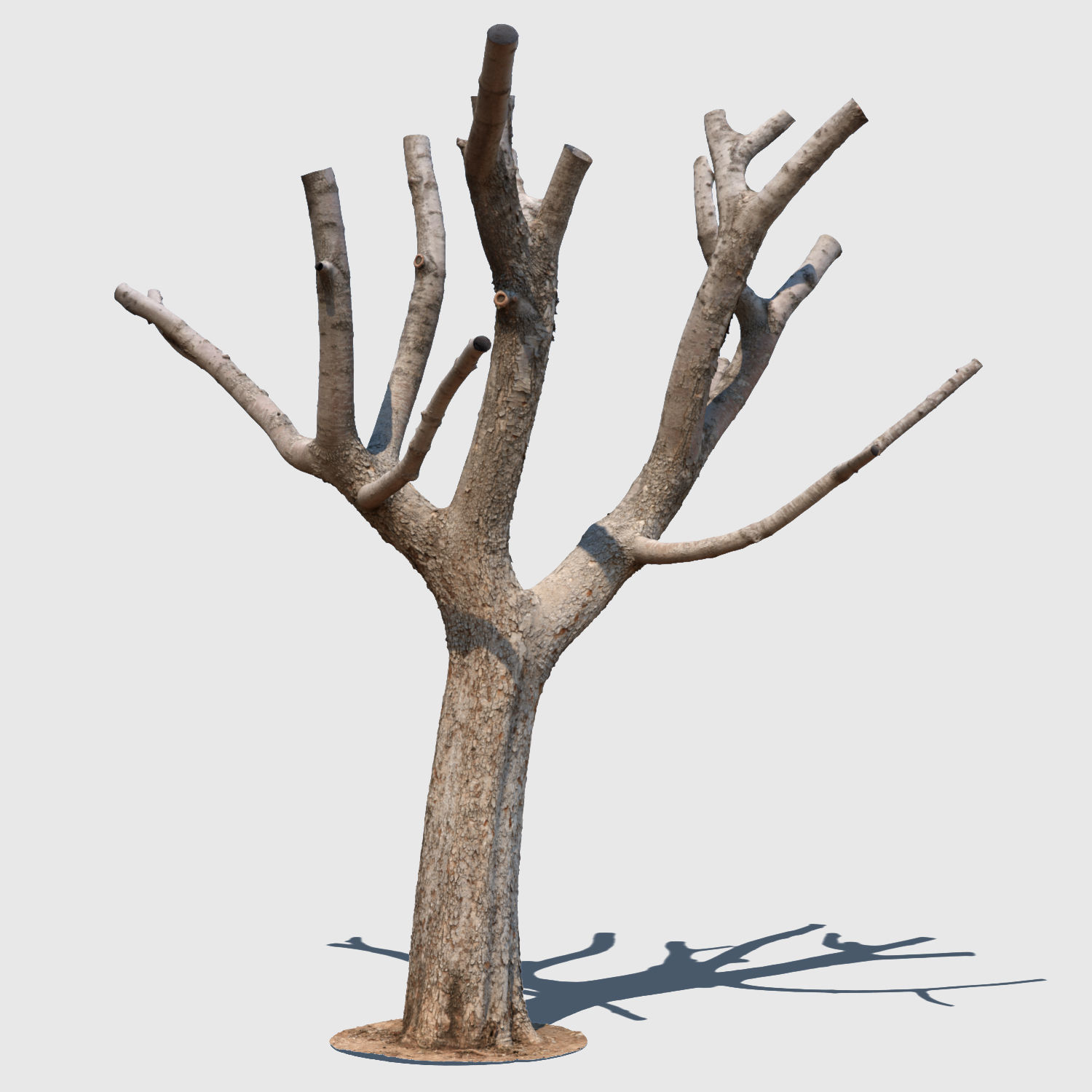 Michelle Branch-3D Scan 3D model_3