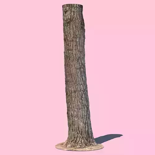 Barky McWood-3D Scan