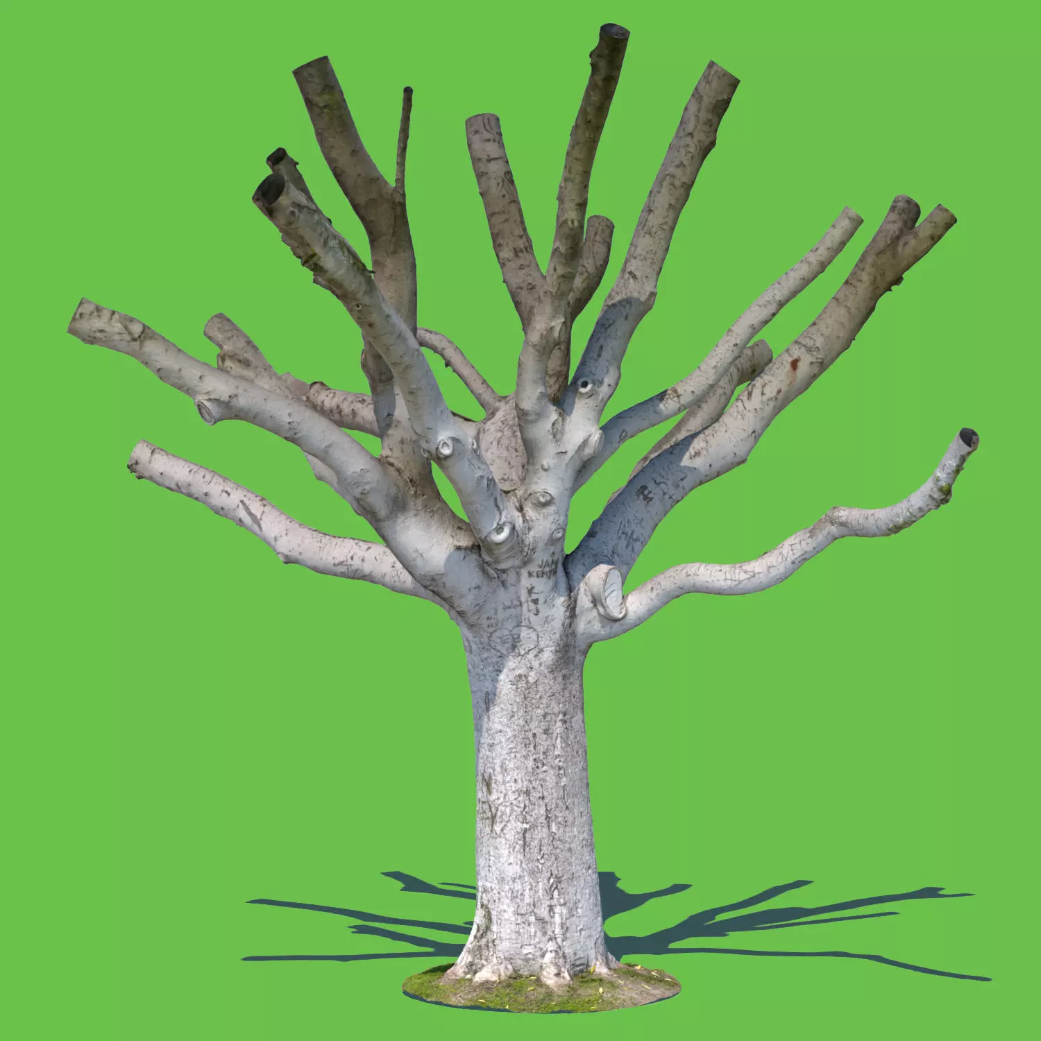 Woody Allen-3D Scan 3D model