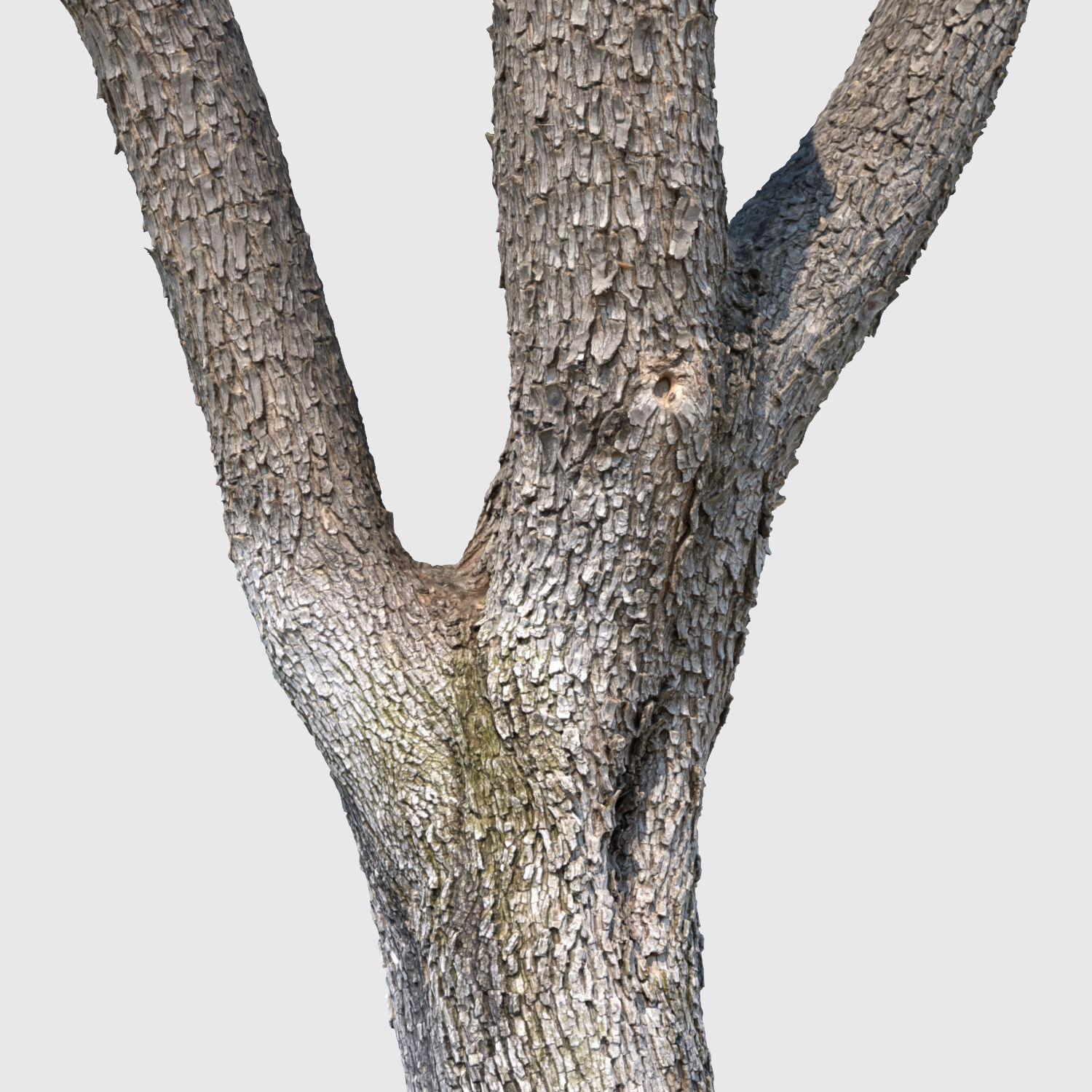 Woodrow Wilson-3D Scan 3D model_4