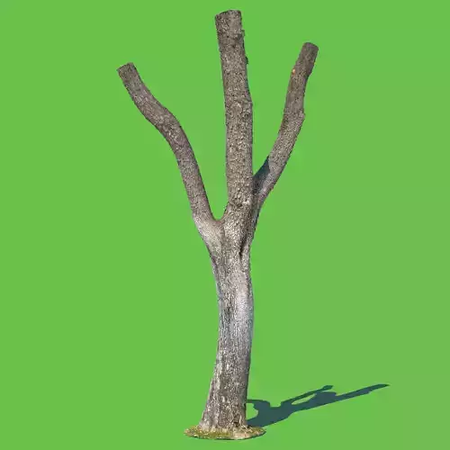 Woodrow Wilson-3D Scan