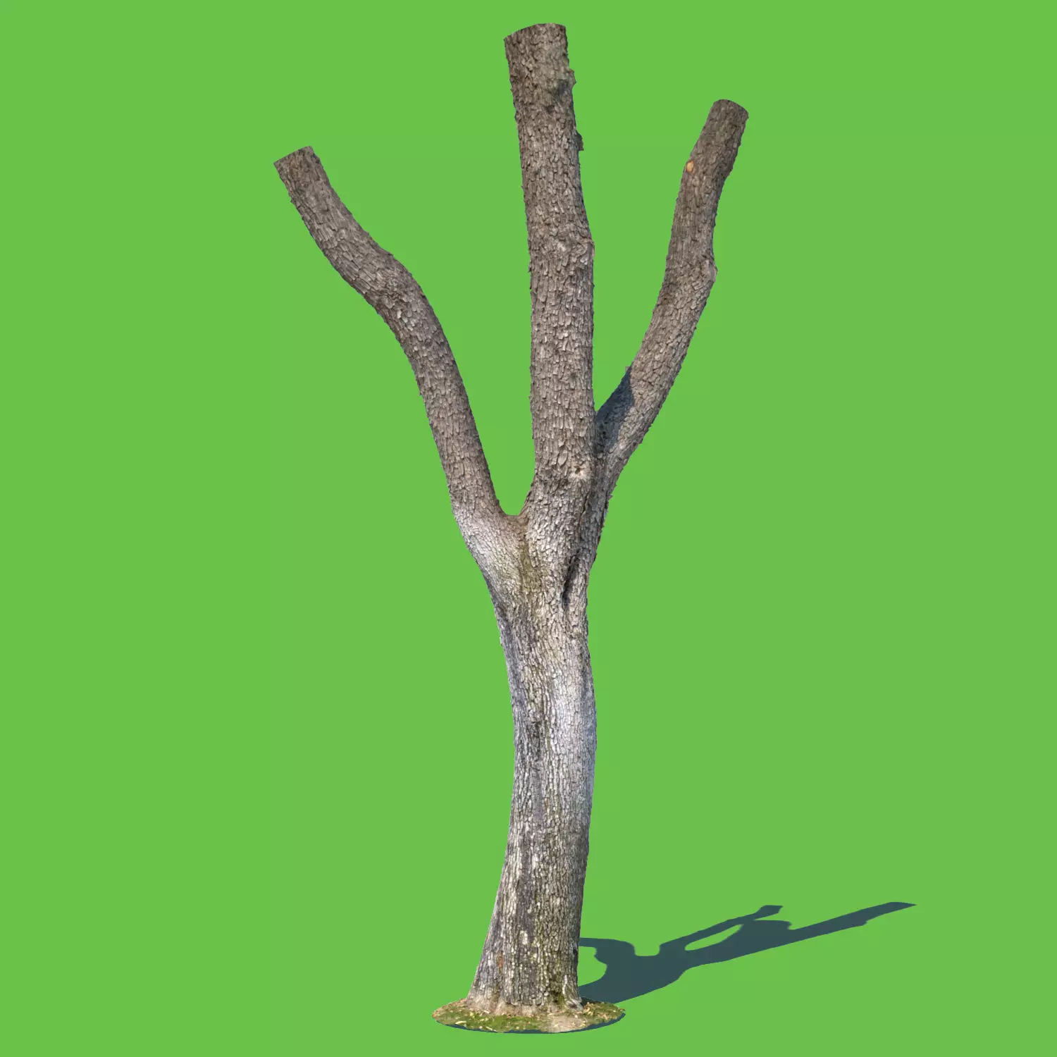 Woodrow Wilson-3D Scan 3D model_0