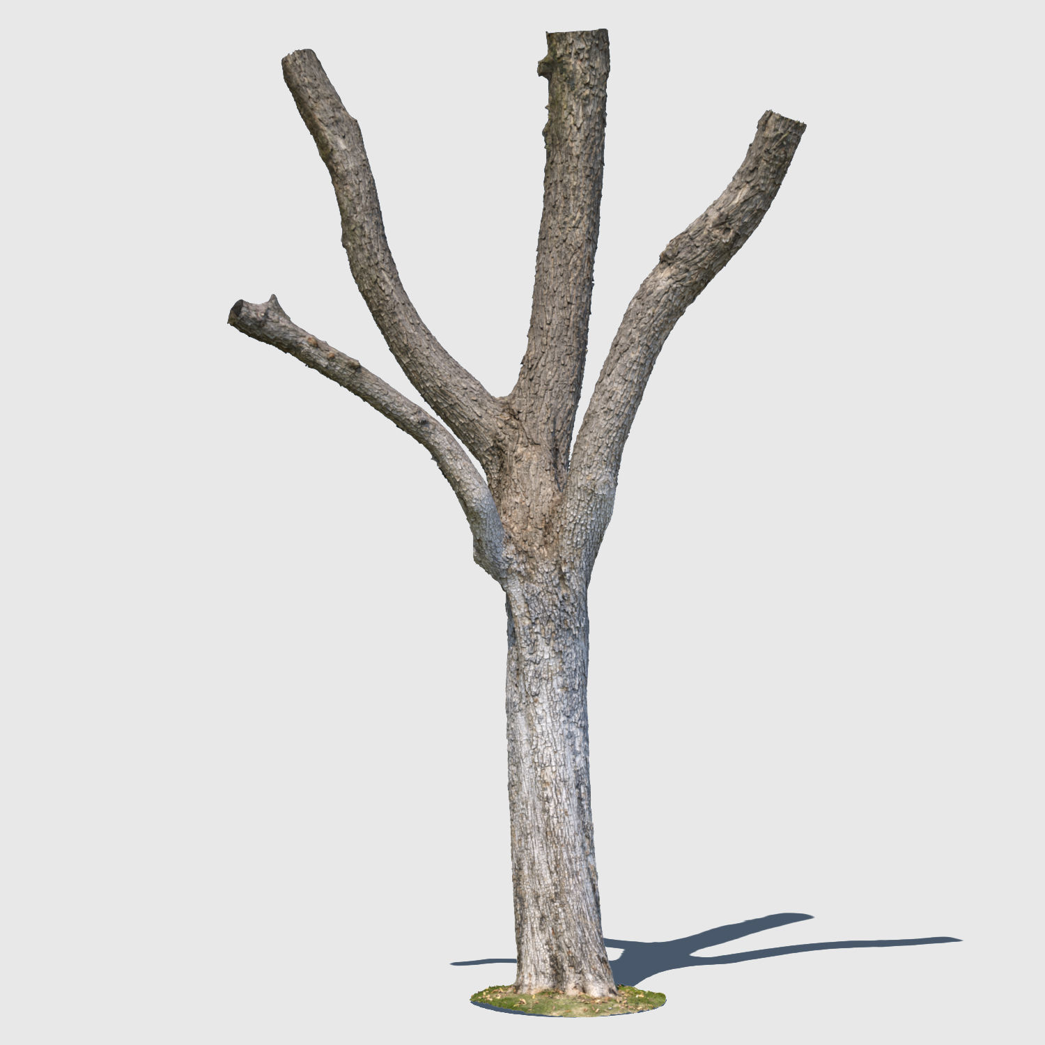 Woodrow Wilson-3D Scan 3D model_3