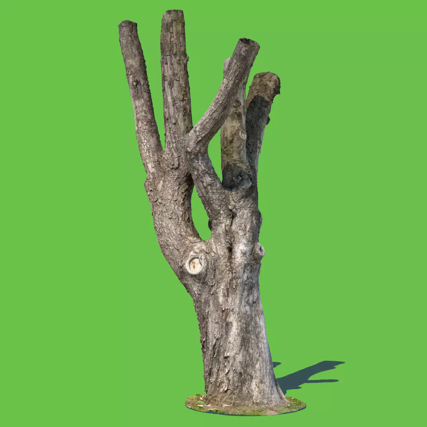 Charles Barkley-3D Scan 3D model_0