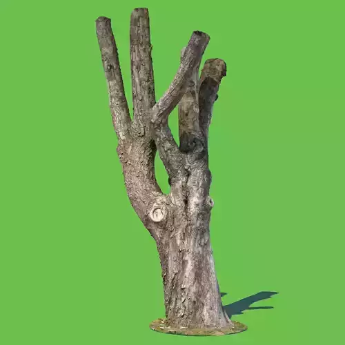 Charles Barkley-3D Scan