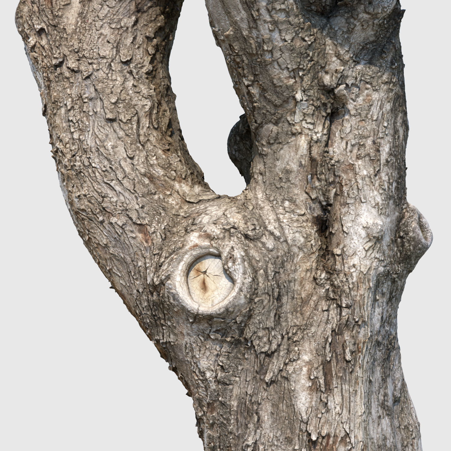 Charles Barkley-3D Scan 3D model_4