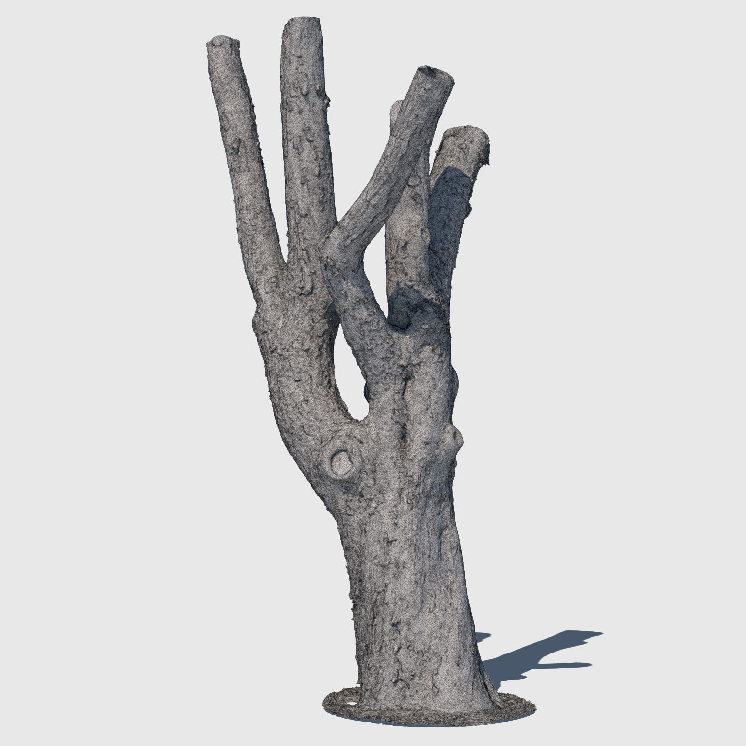 Charles Barkley-3D Scan 3D model_2