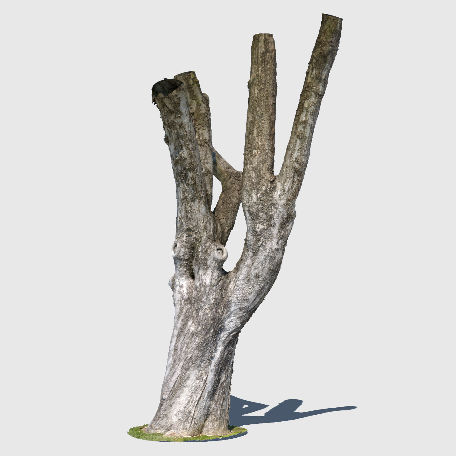 Charles Barkley-3D Scan 3D model_3