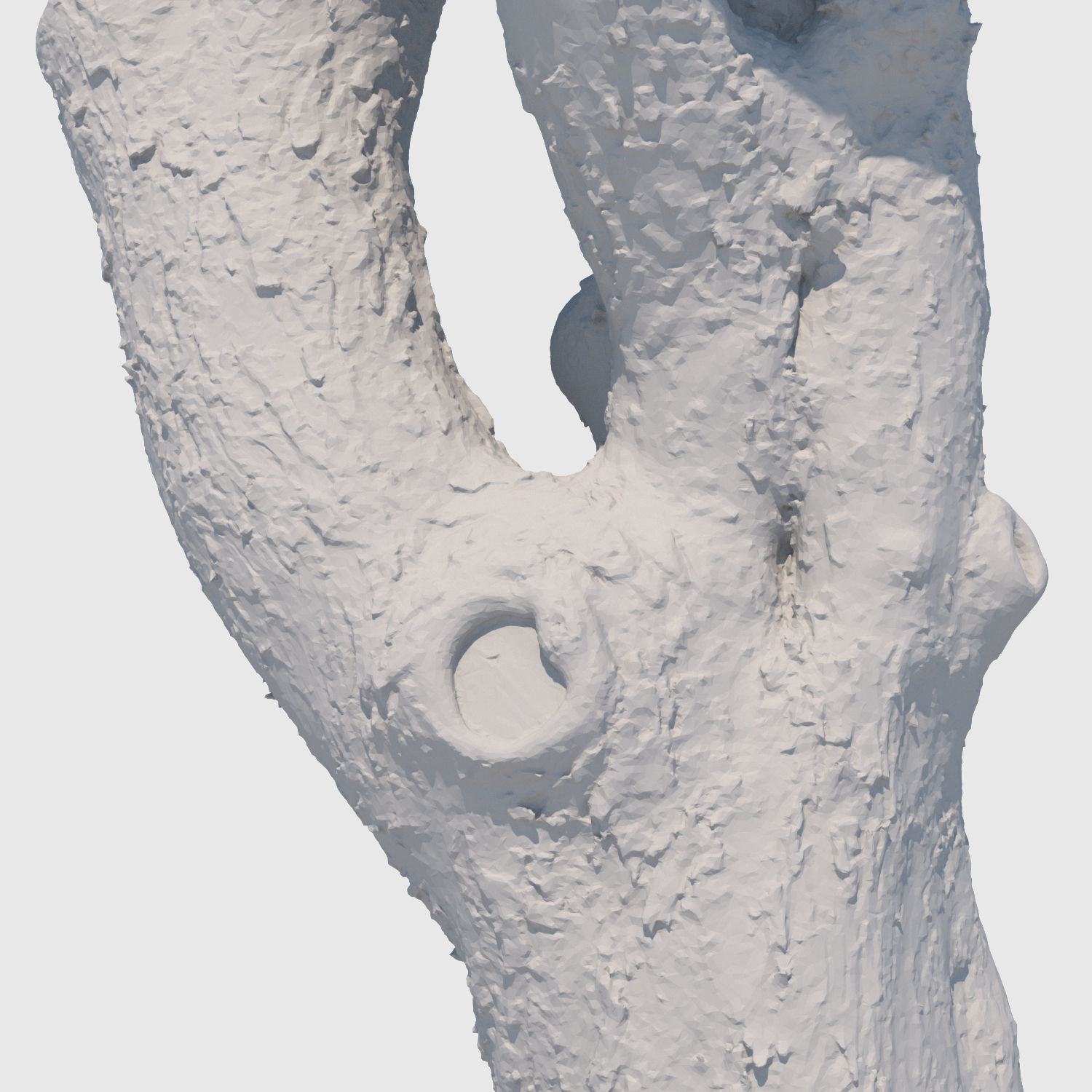 Charles Barkley-3D Scan 3D model_6