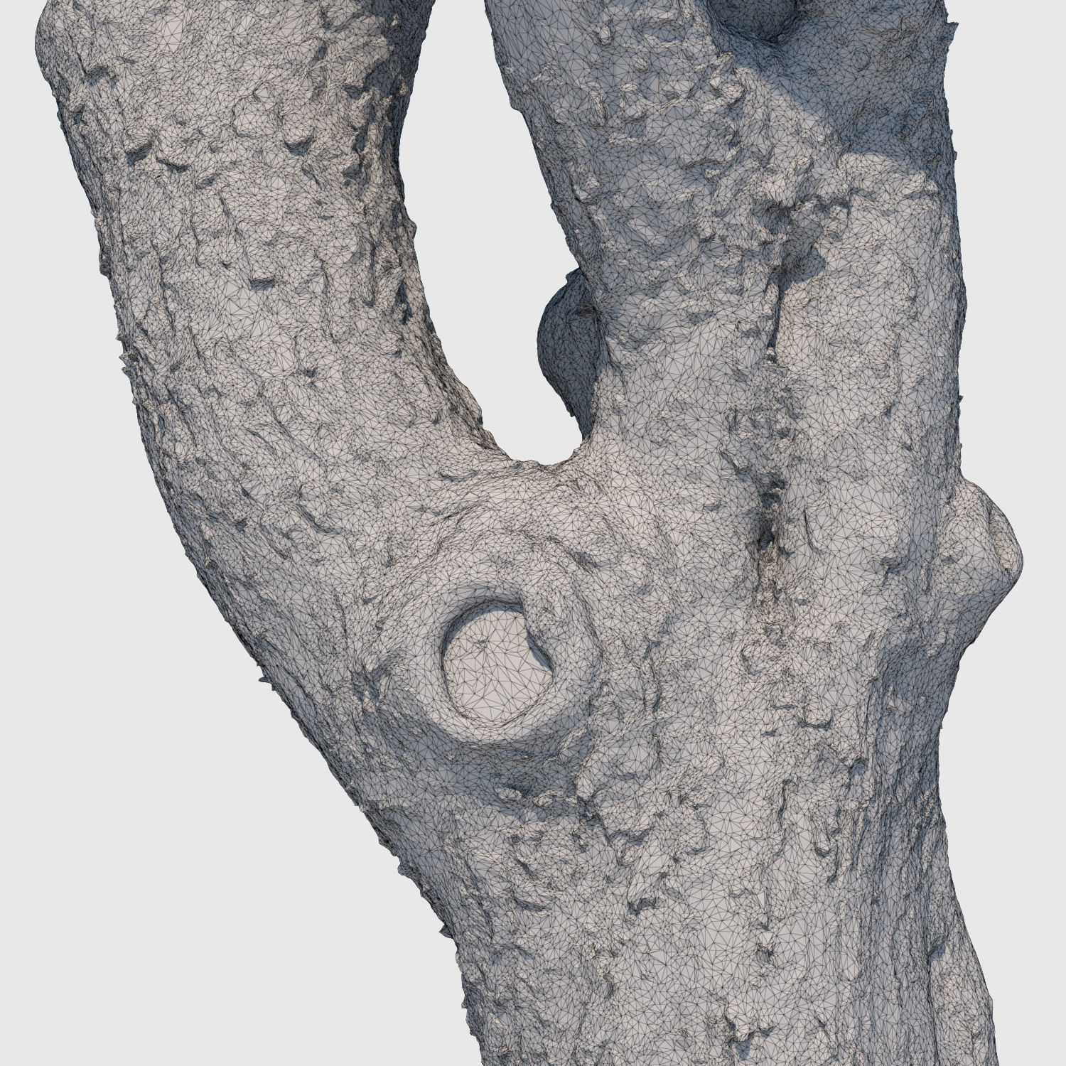 Charles Barkley-3D Scan 3D model_5