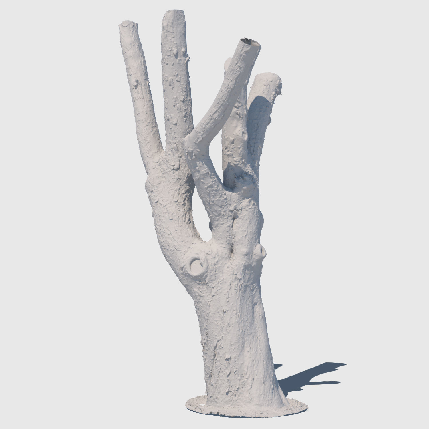 Charles Barkley-3D Scan 3D model_1