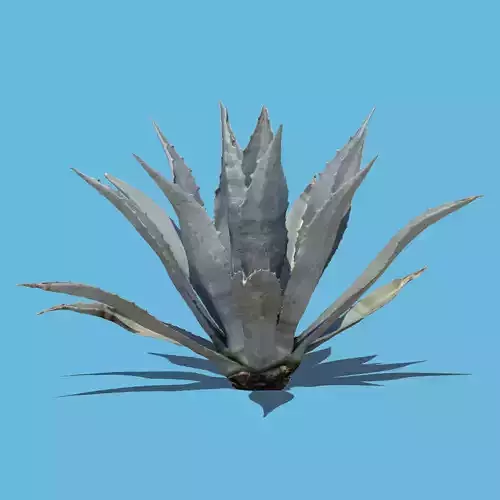Robert Plant-3D Scan