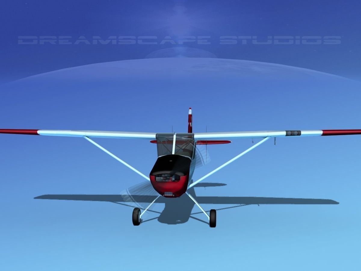 Cessna O-1E L-19 Civil Air Patrol Texas 3D model_1