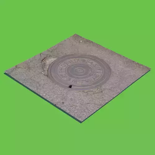 Phoenix Manhole Cover -3D Scan