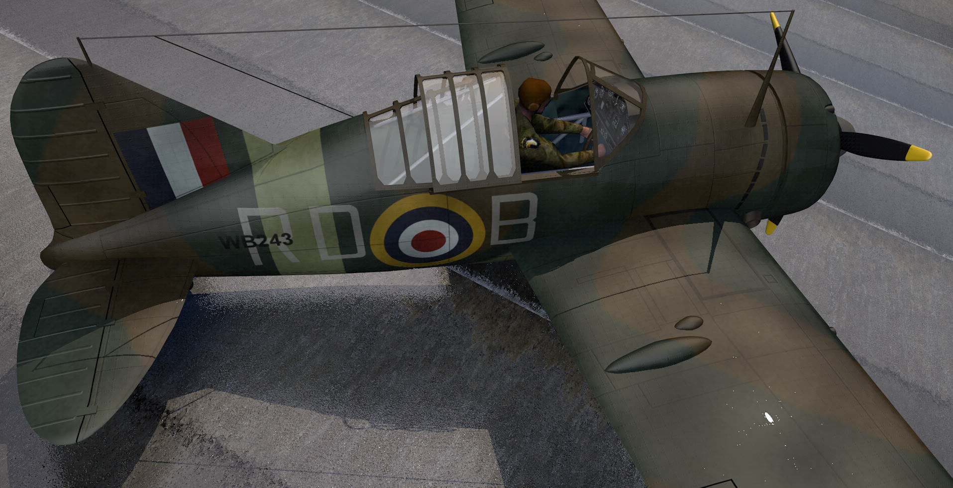 Brewster B339 Buffalo Mk-1  - RAF 3D model_7