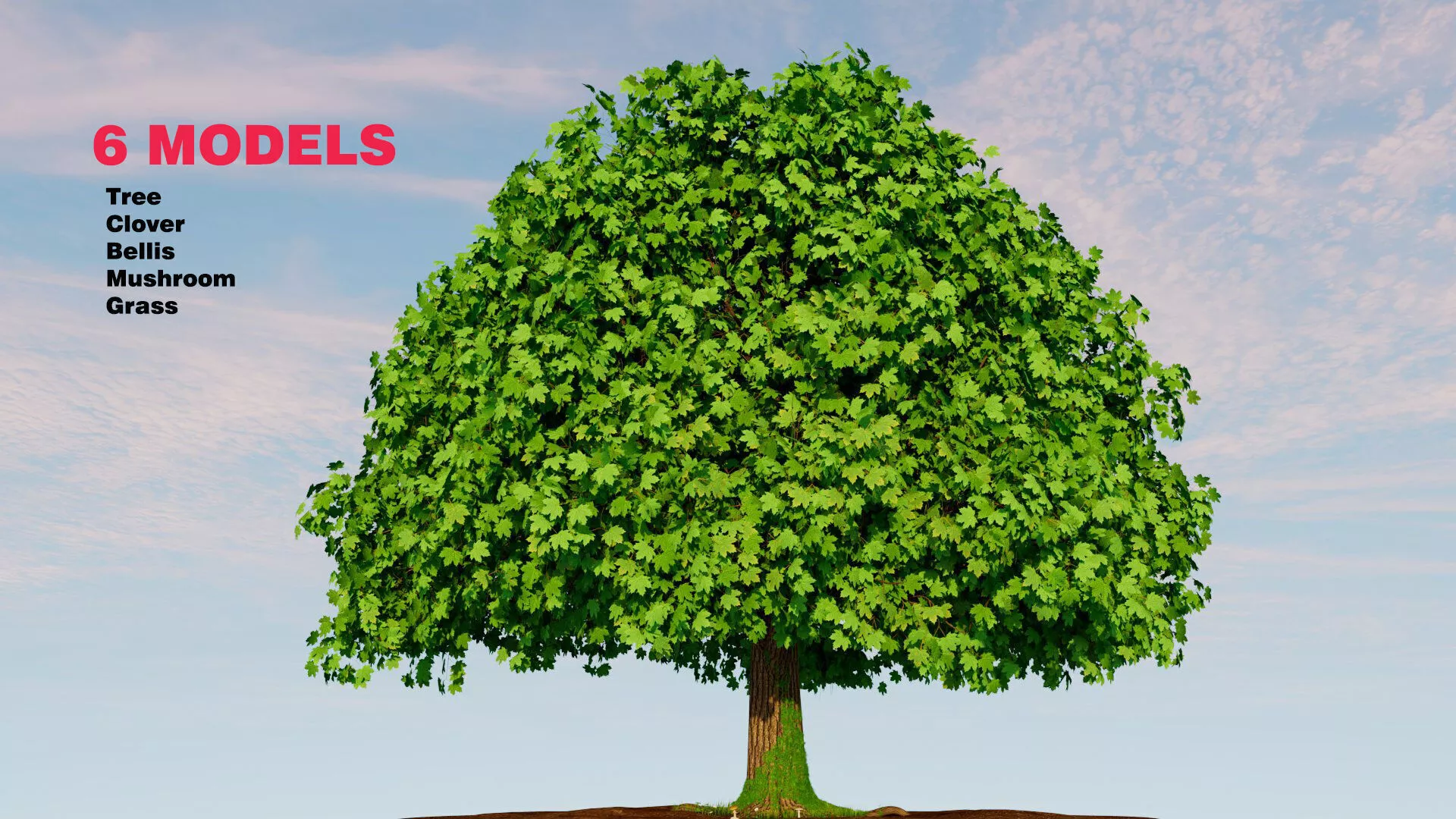 Acer Platanoides Low-poly 3D model