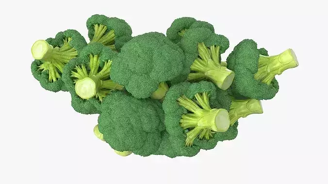 Cut Broccoli Florets in Bowl Green 3D model 4