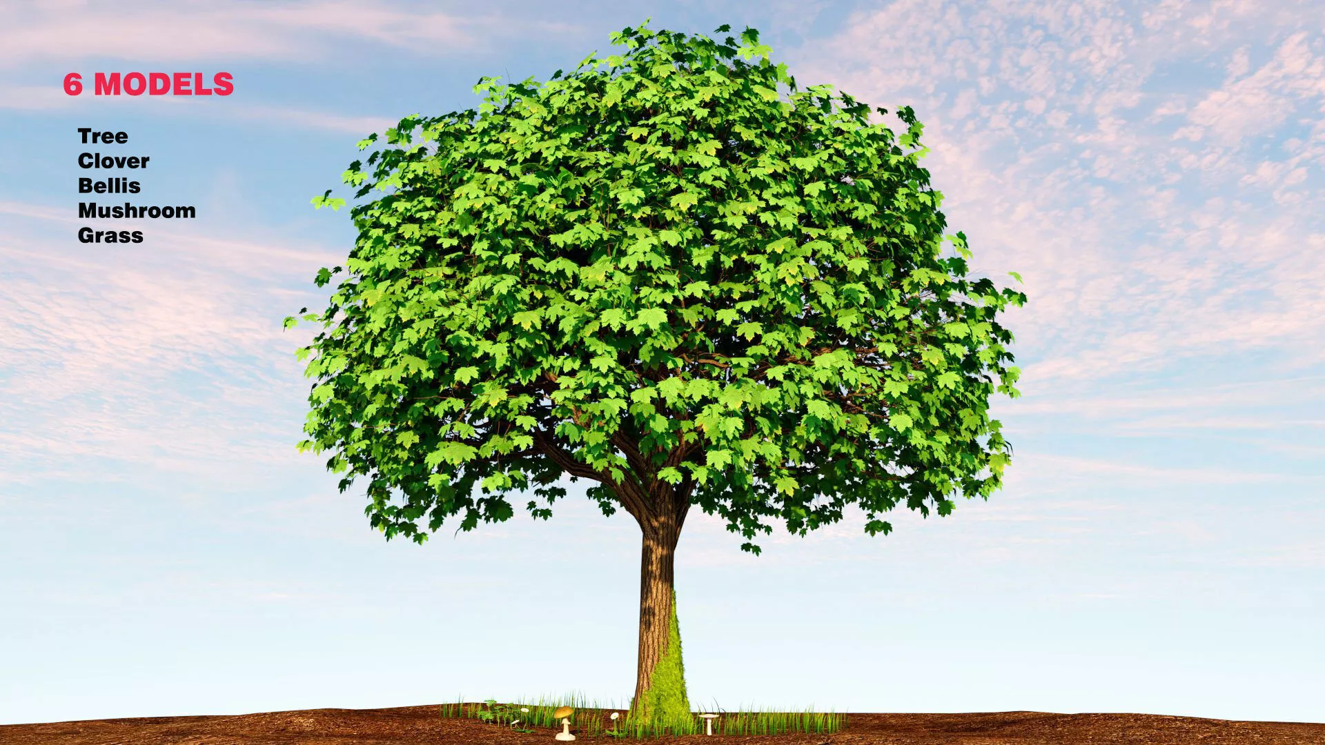 Acer Platanoides Low-poly 3D model