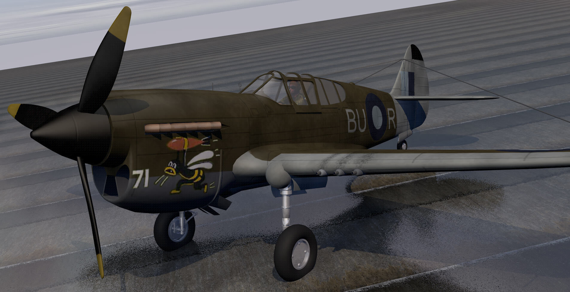 Curtiss Kittyhawk - RAAF 3D model_11