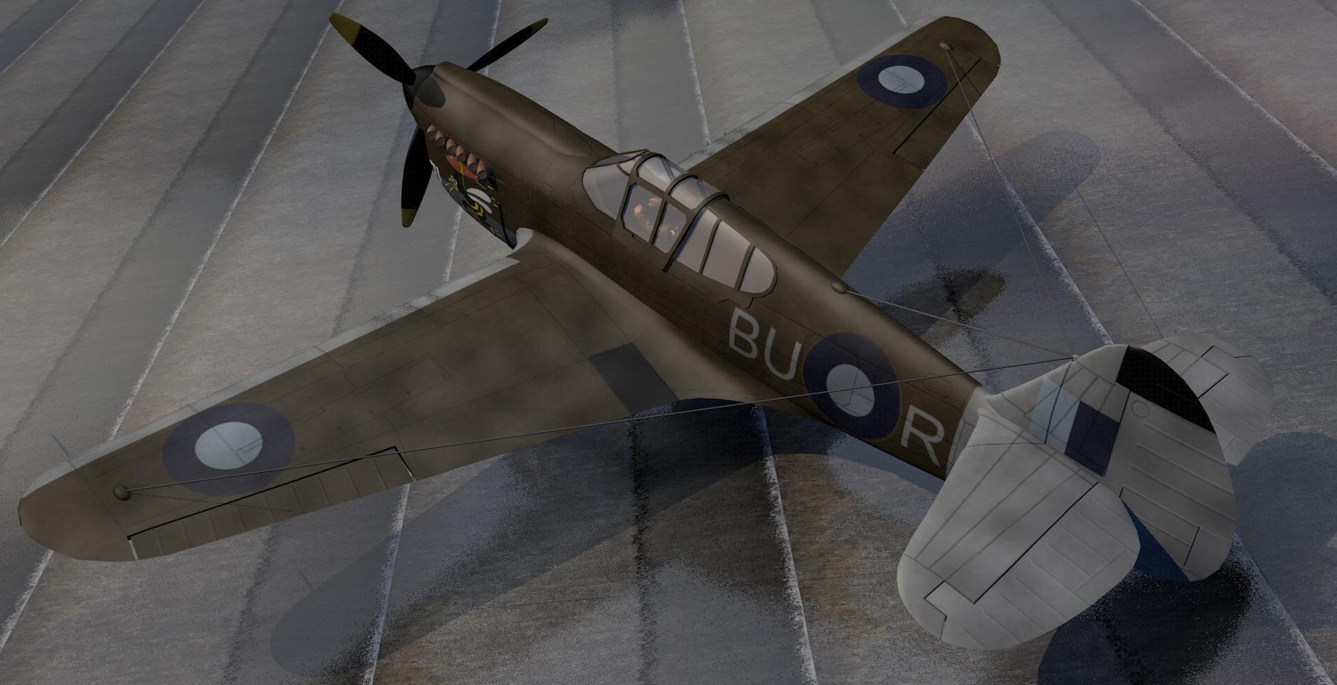 Curtiss Kittyhawk - RAAF 3D model_2
