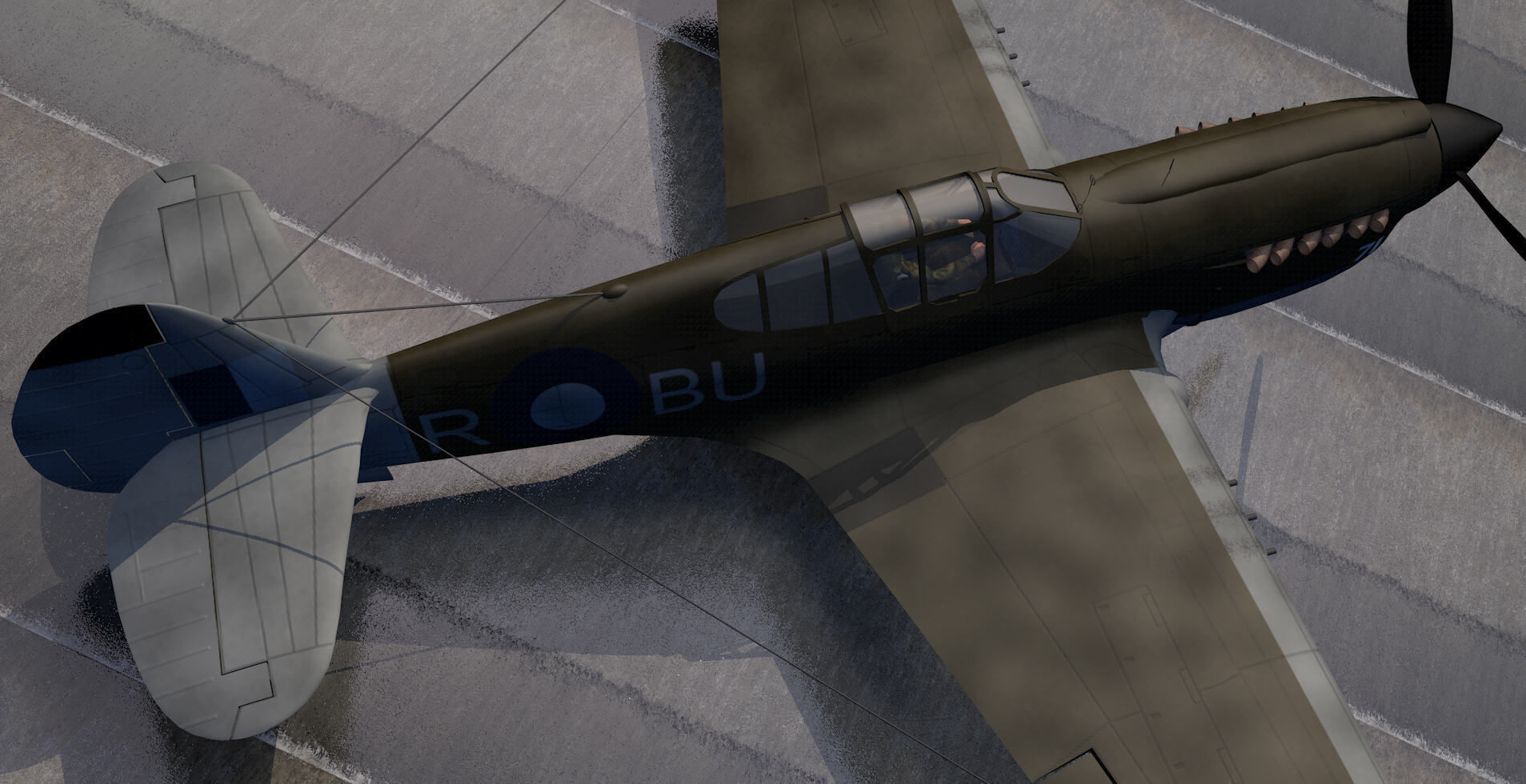 Curtiss Kittyhawk - RAAF 3D model_4