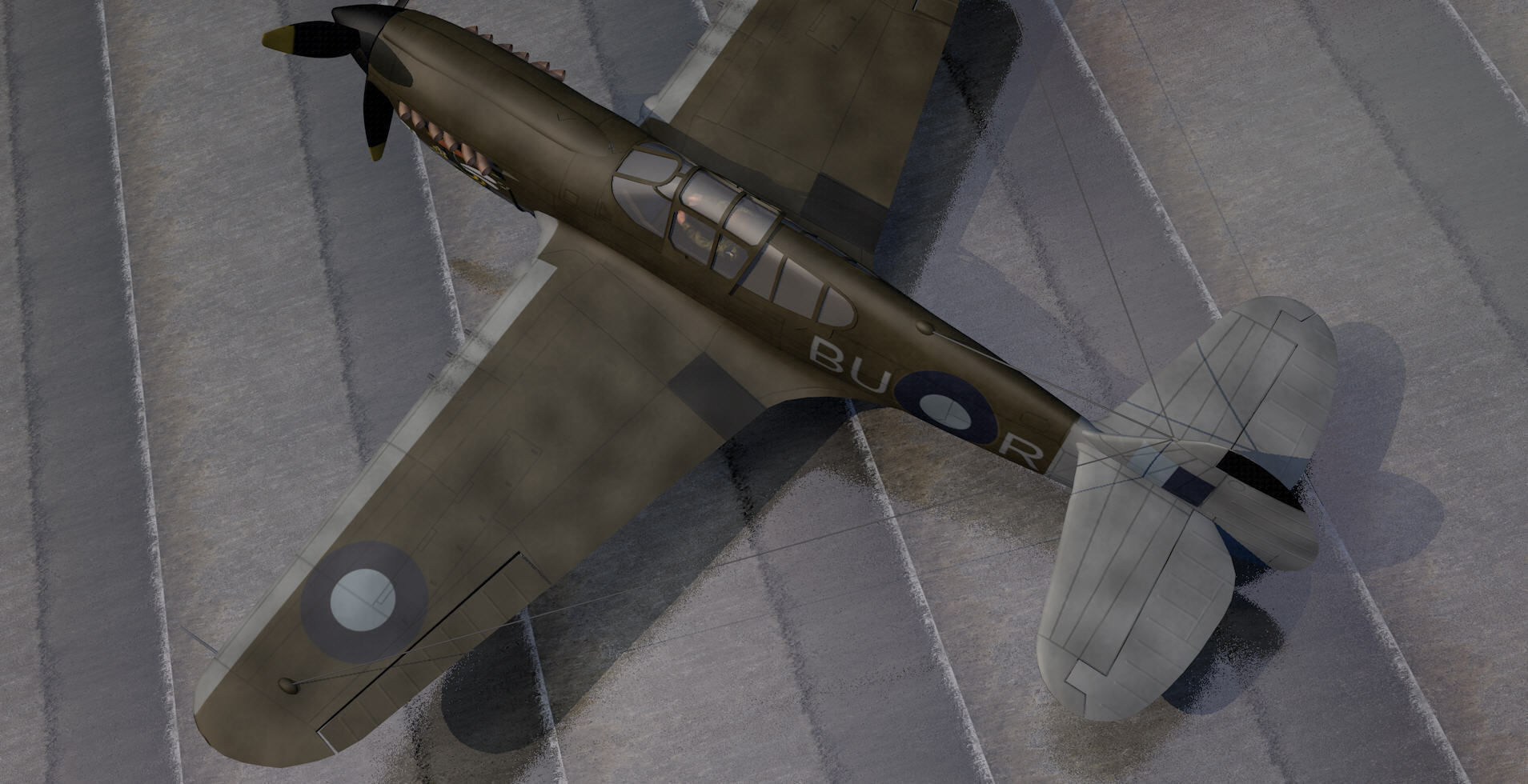 Curtiss Kittyhawk - RAAF 3D model_3